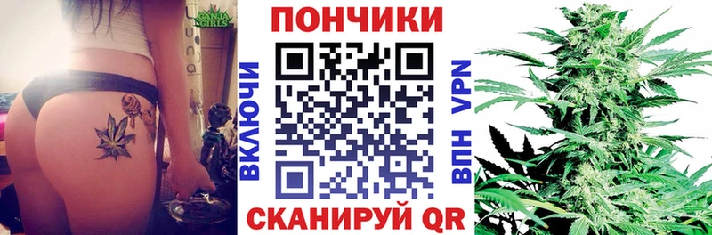МЕГА онион  как найти наркотики  Баймак  Конопля SATIVA & INDICA 